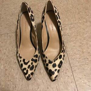 Leopard Print Beige Pumps Heels